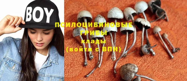 мет Осташков